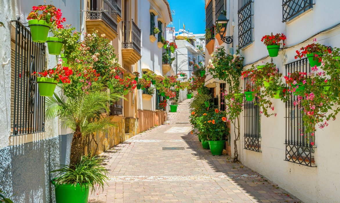 Estepona flowers